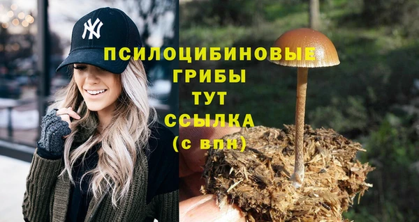 прущая мука Вязники