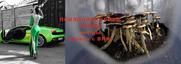 прущая мука Вязники
