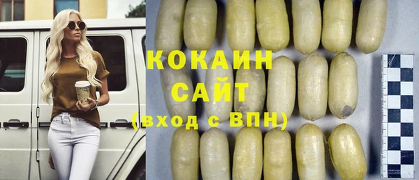 соль ск Заводоуковск
