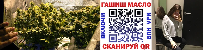 купить наркотики сайты  Подпорожье  ТГК Wax 