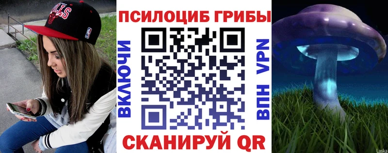 Псилоцибиновые грибы Magic Shrooms  продажа наркотиков  blacksprut рабочий сайт  Подпорожье 